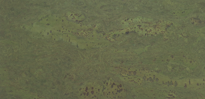 Væg kork Exclusive Green 3MM