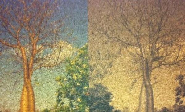 Tryk på naturkork – er det muligt?