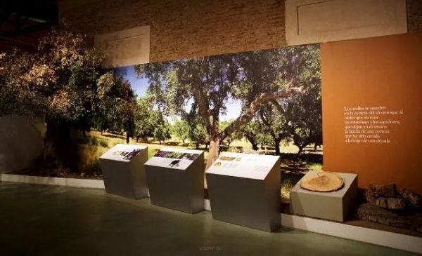 Korkmuseet i Spanien