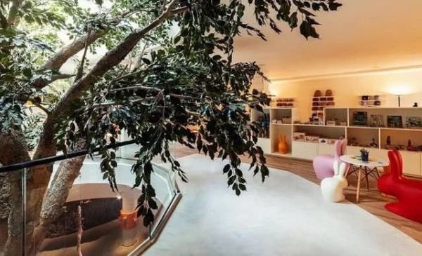 Portugisisk egetræ- og korkfestival