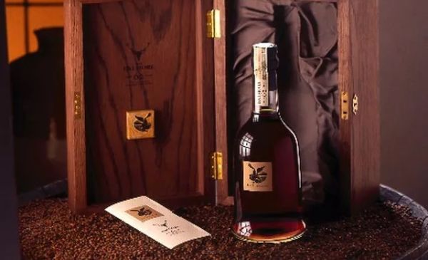 Interessante fakta om kork