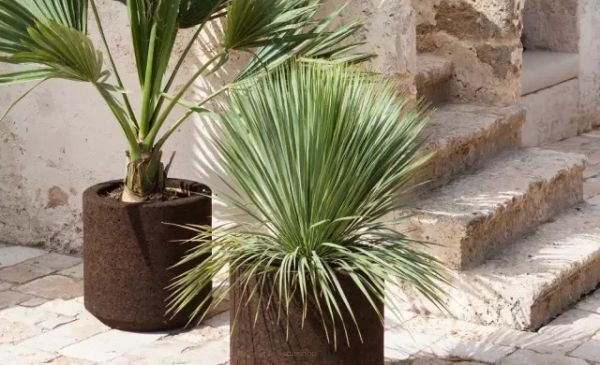 Korkens indvirkning på sundhed og komfort i hjemmet